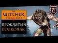 Тайна Деревенского Волколака ∎ The Witcher 3 (Ведьмак 3) #11