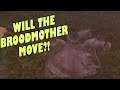WILL THE BROODMOTHER MOVE IN GROUNDED UPDATE 10.0 | Exploring all the map changes in Grounded