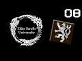 Začínají si nějak dovolovat a já na to koukám jak puk | Elder Scrolls Universalis (Alysinetta) #8