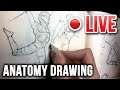 Anatomy Drawing - LIVE! ✍️🔴