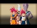 Dragon Ball Z : Kakarot - Goku vs Whis (S Rank)