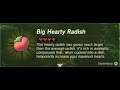 Hearty Radish | Farming Location #1 | Zelda BOTW
