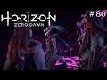 【Horizon Zero Dawn™ ホライゾン ゼロ ドーン】＃80