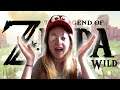 Legend of Zelda Breath of the Wild Master Mode Stream