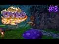 Let's Play Spyro Year of the dragon (Reignited Trilogy) 117% part 13 (German)