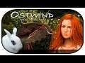 OSTWIND - ARIS ANKUNFT 🐴 03 🐇 Der Weg der Kriegerin