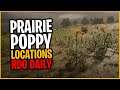 Prairie Poppy Locations | Red Dead Online