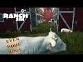 Ranch Simulator Ep 12     Now we have hogs