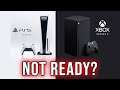 Should The PlayStation 5 And Xbox Series X Be Delayed?