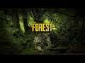 The Forest (#7) : SINGLEPLAYER - KRÁL OSTROVA || část 3 || EVIL DEAD + JESKYNNÍ POTÁPĚNÍ