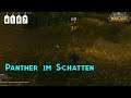 World of Warcraft Classic: Folge #197 - Panther im Schatten