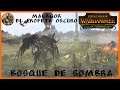 🌋Batalla de Aventura LEGENDARIO🌋 #130- Malagor, Bosque de la Sombra -Total War Warhammer II