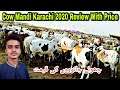 Cow Mandi 2020 Karachi-With Price Cow Mandi Karachi-MaweshiMandi Latest UpdateSohrabGoth Karachi-Kmi