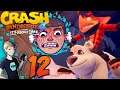 Crash Bandicoot 4: It's About Time Walkthrough - Part 12: Polar RAGE!