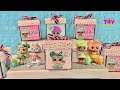 LOL Surprise Present Surprise NEW RELEASE #2 Blind Bag Doll Collectible Unboxing Party | PSToyReview