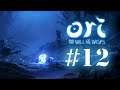 Ori and the Will of the Wisps #12- Battle of the birds