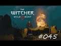 THE WITCHER 3 WILD HUNT #045 - das ahnenfest ° #letsplay [GERMAN]