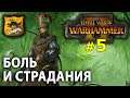 Warhammer II - Егермаршал Марк Вульфхарт №5 - Боль и Страдания
