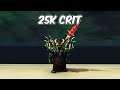 25K CRIT - Destruction Warlock PvP