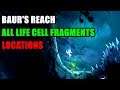 Baur's Reach All Life Cell Fragments Locations Ori and the Will of the Wisps
