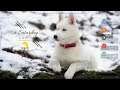 How To Customize Your Desktop | Windows 10 | Moni Legendary