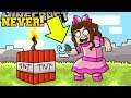 Minecraft: *NEVER* BLOW UP TNT! - WORLD OF EXPLOSIONS - Custom Map