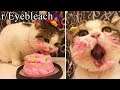 r/Eyebleach | THIS CAKE SO GOOD