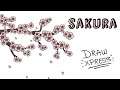 SAKURA | Draw My Life
