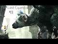 The Last Guardian | #13 (END) | THE WHOLE TIME!?!?