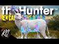 DREAM TROPHY! Albino LESSER KUDU While Grinding for an Albino Lion! theHunter Call of the Wild
