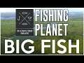 Fishing Planet: BIG TROPHY FISH at the Florida Everglades!