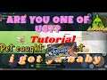 How to have pet in ROX | Tutorial | New pet update inside the Ragnarok X: Next Generation World