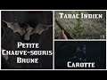 Red Dead Online - Petite Chauve-souris Brune / Tabac Indien / Carotte