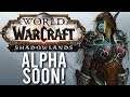 Shadowlands Alpha Update! Could We Play Alpha Soon? - WoW: Battle For Azeroth 8.3