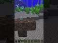 Can I create a wither in water?