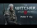 SingSing The Witcher 3: Wild Hunt - Part 16