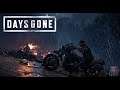 Acceptable Streams: Days Gone, Hard Mode [Part 12]