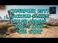 Cyberpunk 2077 Jackson Plains Solar Arrays Tarot Card "The Star"