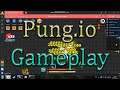 Pung.io Gameplay