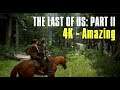 The Last of Us: Part 2 - 4K Test Footage (Elgato 4K60 S+) - AMAZING Graphics