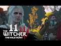 The Witcher 3 The Wild Hunt Episode 11: The Cockatrice