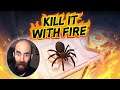 Arachnophobe Plays Kill It With Fire - Highlights