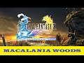 Final Fantasy X 10 - Macalania Woods - 30