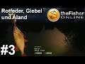 Grundangeln auf große Aland, Rotfeder und Giebel | theFisher Online #3 | Deutsch | Gameplay | UwF