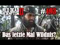 Let's Play Red Dead Redemption 2 #193: Das letzte Mal Wildnis? [Frei] (Slow-, Long- & Roleplay)