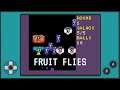 MakeCode Arcade Advanced - Fruit Flies When You're Having Fun