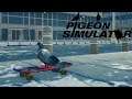 Pigeon On A Skateboard | Pigeon Simulator
