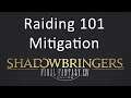 Raiding 101: Mitigation - FFXIV