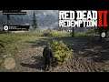 Red Dead Redemption II PC - Herbalist 6: Pick 15 different species of herb - Chapter 6:Beaver Hollow