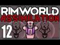Rimworld: Assimilation #12 (Hardcore Merciless Wave Survival)